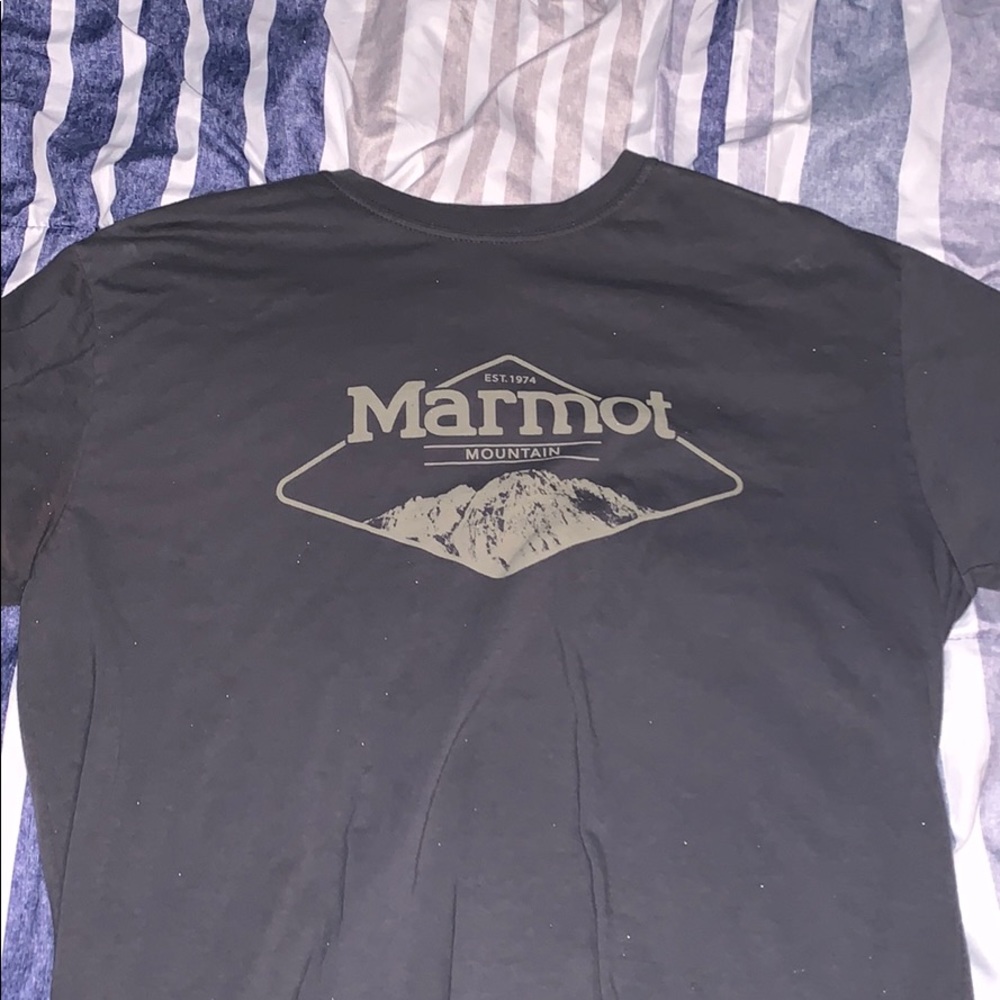 Marmot Grey T-Shirt